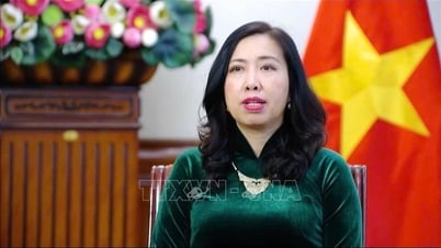 Enhancing relations and promoting comprehensive cooperation between Vietnam and Russia, Kazakhstan, Azerbaijan, Belarus
