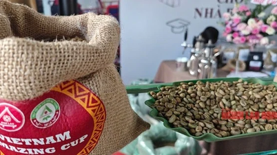 Kaffeepreis heute 4-5: Wo gibt es den besten vietnamesischen Arabica?