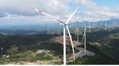 SCI Huong Viet 풍력발전소 투자 정책 승인(1,018억 VND 이상)
