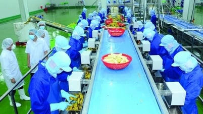 Développer le commerce agricole sur le marché de l'Asie du Nord-Est