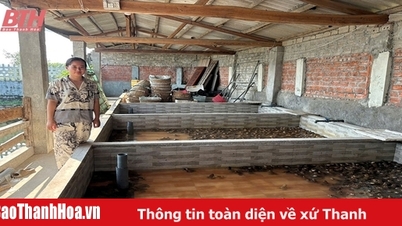 การพัฒนาโมเดลเศรษฐกิจจากทุนสินเชื่อไมโครไฟแนนซ์ในThanh Hoa