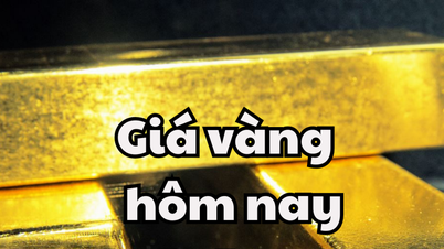 Goldpreis heute 4. Mai 2025: Inländischer Goldpreis bei 121,3 Millionen, Weltgoldpreis über 3200 USD