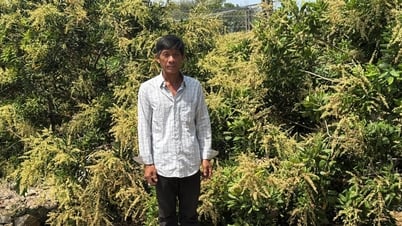 Một tỷ phú Bà Rịa-Vũng Tàu "đứng lớp" hướng dẫn nông dân, tạo nhiều việc làm
