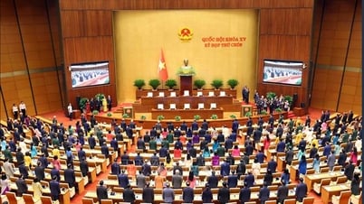 Khai mạc Kỳ họp thứ 9, Quốc hội khóa XV