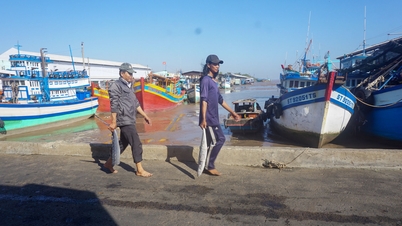 Giảm khai thác, tăng nuôi trồng