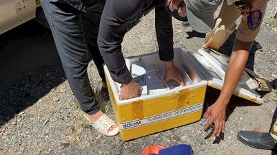 Organizar numerosas actividades en respuesta a la Semana Nacional Sin Tabaco