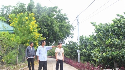 Phát huy vai trò cán bộ thôn trong xây dựng nông thôn mới