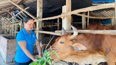 Women who overcome difficulties to become rich