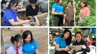 Promoting communication about social insurance policies during the month of promoting the implementation of universal social insurance