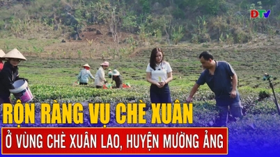 រដូវផ្ការីកដ៏អ៊ូអរ