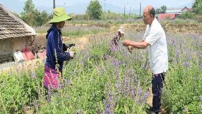 Tập trung phát triển kinh tế, tạo việc làm cho người dân