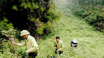 Nam Đàn tăng cường phòng chống cháy rừng tại các điểm di tích lịch sử