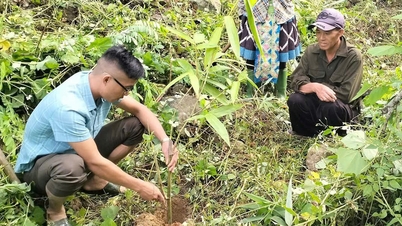 Những đầu tàu gương mẫu ở vùng cao