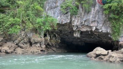 Phát triển du lịch bền vững trên Vịnh Bái Tử Long