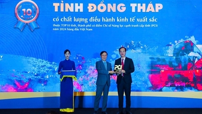 Đồng Tháp xếp vị trí thứ 9 Chỉ số năng lực cạnh tranh cấp tỉnh năm 2024