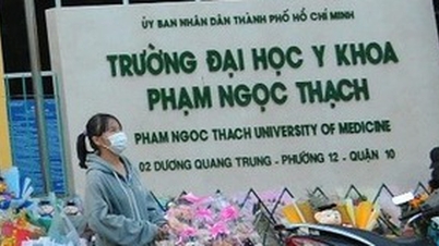Lùm xùm vụ lập hội đồng giáo sư cơ sở ở Trường đại học Y khoa Phạm Ngọc Thạch