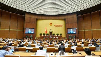 Dự thảo Luật Nhà giáo: Tinh chỉnh chính sách, đảm bảo công bằng và đặc thù