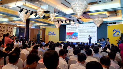TPHCM nằm trong nhóm 30 địa phương có chỉ số năng lực cạnh tranh cao