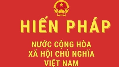 ការដាក់ពង្រាយអង្គភាពប្រមូលមតិលើសេចក្តីព្រាងសេចក្តីសម្រេចចិត្ត វិសោធនកម្ម និងបំពេញបន្ថែមមាត្រាមួយចំនួននៃរដ្ឋធម្មនុញ្ញឆ្នាំ ២០១៣