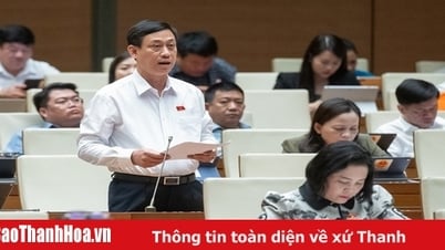 ĐBQH Mai Văn Hải (Đoàn ĐBQH tỉnh Thanh Hóa): Cần có nguyên tắc bình đẳng giữa cơ sở giáo dục công lập với ngoài công lập