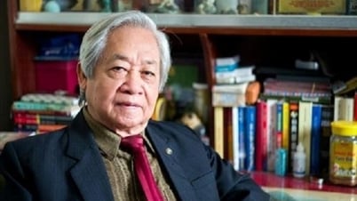 「デジタルリテラシー」が人材の質を向上させる