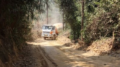 Chuyển đổi mục đích sử dụng 6,94 ha rừng để thực hiện Dự án thành phần 2 cao tốc Khánh Hòa – Buôn Ma Thuột