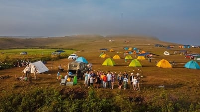 Đảo Lý Sơn kín phòng 5 ngày lễ