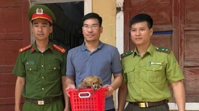 ការដោះលែងសត្វជិតផុតពូជទៅកាន់ឧទ្យានជាតិ Phong Nha - Ke Bang