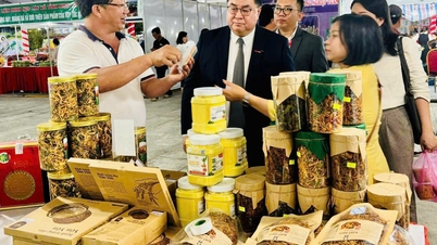 Thúc đẩy xúc tiến thương mại cho các hợp tác xã