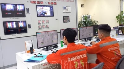 ハナムは2024年のPCIランキングで22位にランクイン