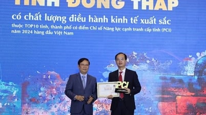 Đồng Tháp: Top 10 chất lượng điều hành kinh tế xuất sắc và Chỉ số Xanh cấp tỉnh