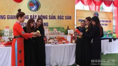 Nâng tầm nông sản địa phương