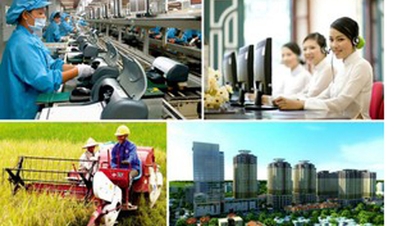 08 groups of tasks and solutions for private economic development