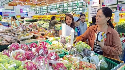 Xuất siêu 5,18 tỷ USD trong 4 tháng đầu năm 2025: Ngành nông nghiệp khởi sắc