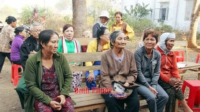 Phấn đấu 50% người cao tuổi thành thạo các kỹ năng số cơ bản