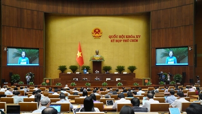Kỳ họp thứ chín, Quốc hội khóa XV: Đề xuất quy định cấm ép...