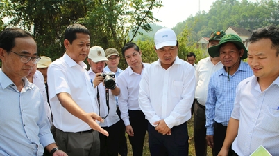 Quảng Nam đề nghị khẩn trương xây dựng, triển khai Dự án sắp xếp dân cư khu vực đường Trường Sơn Đông