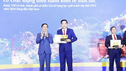 Bac Giang se classe au 4ème rang du pays en termes de compétitivité provinciale.