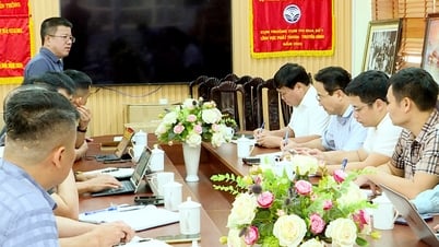 Tuyen Quang Newspaper and Ha Giang Newspaper met to discuss and agree on the contents to prepare for the merger.