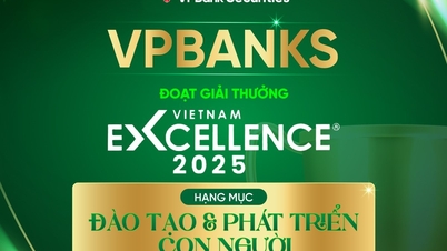 VPBankS được vinh danh tại HR Excellence ® 2025 về đào tạo