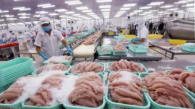 베트남 해산물 수출이 크게 회복되었습니다.