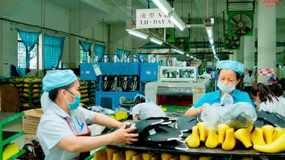 Phuc Yen Shoe Joint Stock Company: Building a production environment for workers