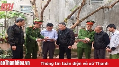 Phát hiện, giải quyết tố giác, tin báo tội phạm về tham nhũng, tiêu cực