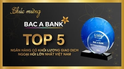 Bac A Bank lọt ‘Top 5 ngân hàng có lượng giao dịch ngoại hối lớn nhất Việt Nam’