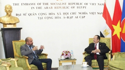 Strengthening coordination between the Embassies of Vietnam and Cuba in Egypt
