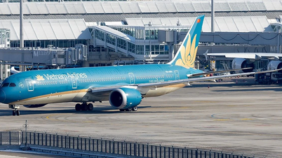 ជើងហោះហើរ Vietnam Airlines ត្រូវចុះចតជាបន្ទាន់នៅ Türkiye។