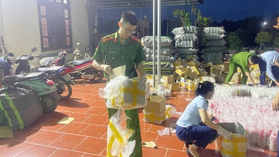 Bac Giang : poursuites judiciaires dans une affaire de fabrication de pesticides contrefaits