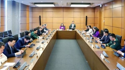 Delegierte der Nationalversammlung der Provinz An Giang beteiligten sich an der Gruppendiskussion.