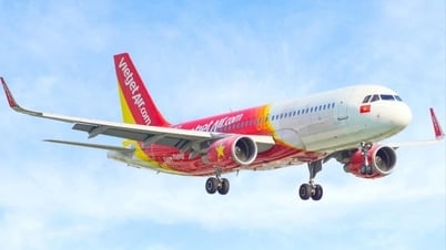 Vietjet joins hands with foreign partners to establish new airline