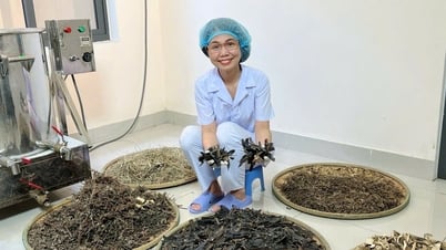 教師が自然派化粧品ビジネスに転身
